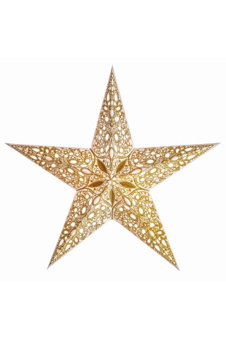 Starlightz Stern M raja gold