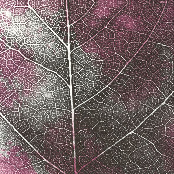 L Serviette The Leaf pink