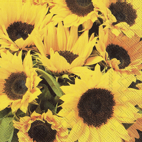 L Serviette Sunflower Field