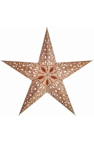Starlightz Stern M raja copper