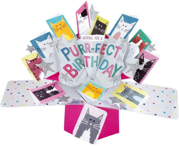 POP Up Karte Purr-fect Birthday Cats